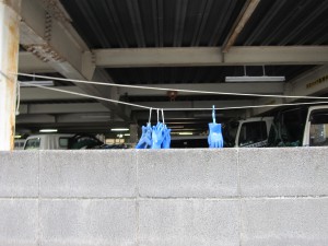 駐車場に干されたゴム手袋